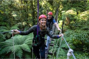 Two Adventure Park Rides & Ultimate Canopy Tour
