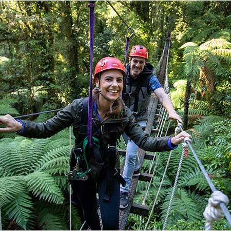 Best-wedding-gifts-nz-experiences-Rotorua-Canopy-Tours