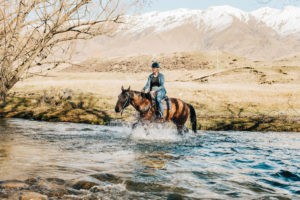 High Country Twilight Horse Trek
