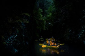 Glowworm Kayak Tour