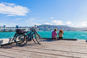 Full Day Cycle Exploration of Wellington