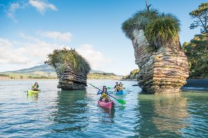 Kayak Tour of the Limestone Coast Formations