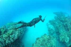 Spearfishing Charter Dive