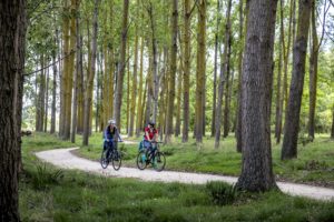 Explore the Hawkes Bay Cycle Trails