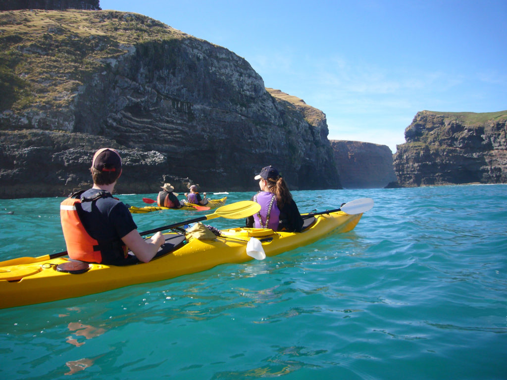 Christmas gifts for men NZ kayaking wildlife experience