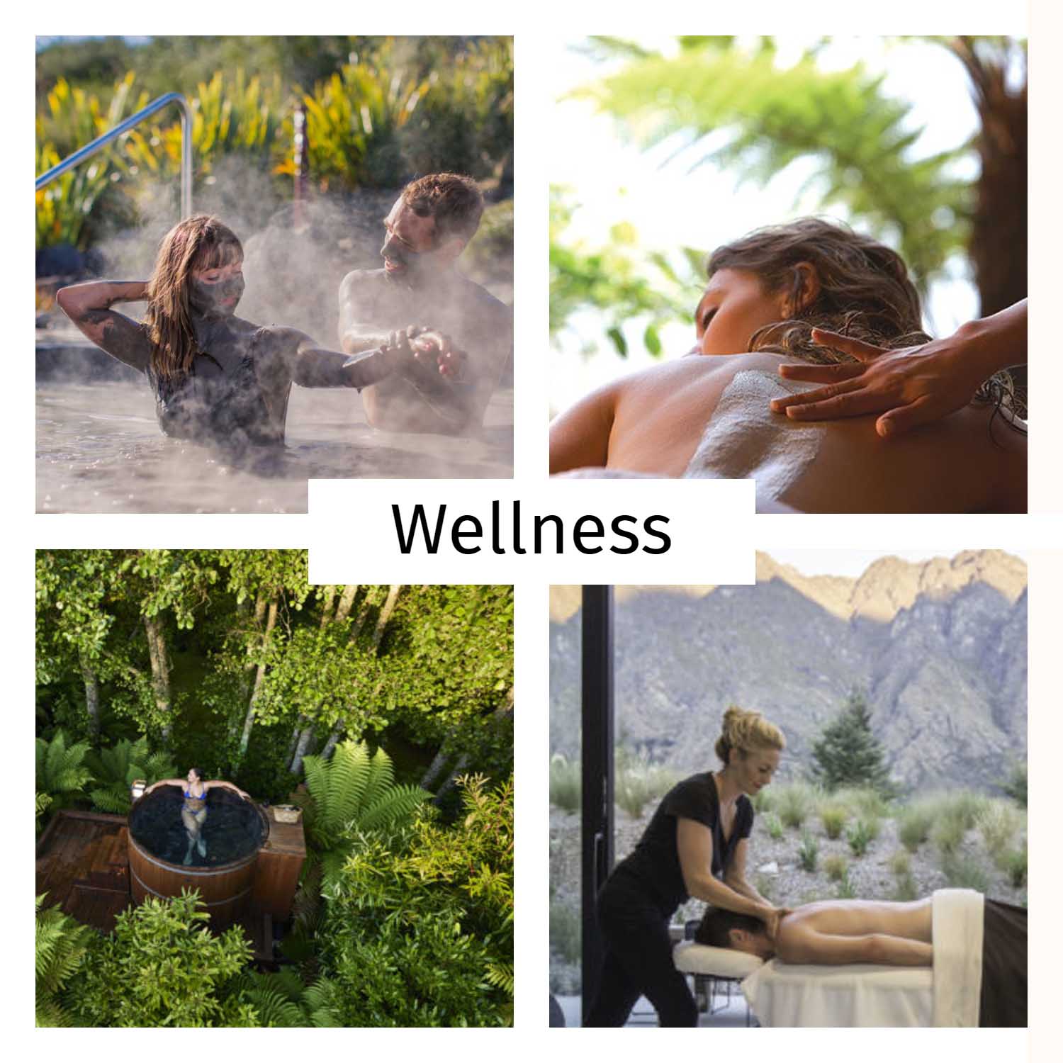 Will they choose a health and wellness experience?