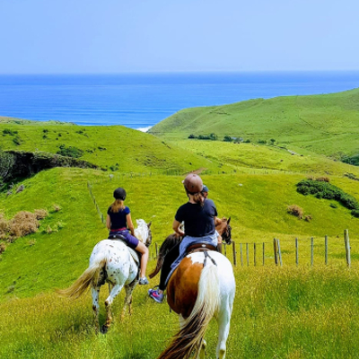 Horse riding and horse trek adventures with Chuffed Gifts