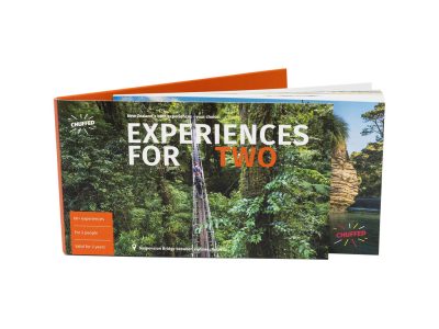 ExperienceTwo1
