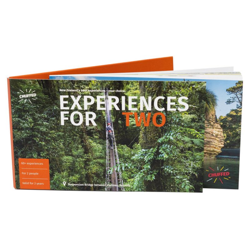 ExperienceTwo1